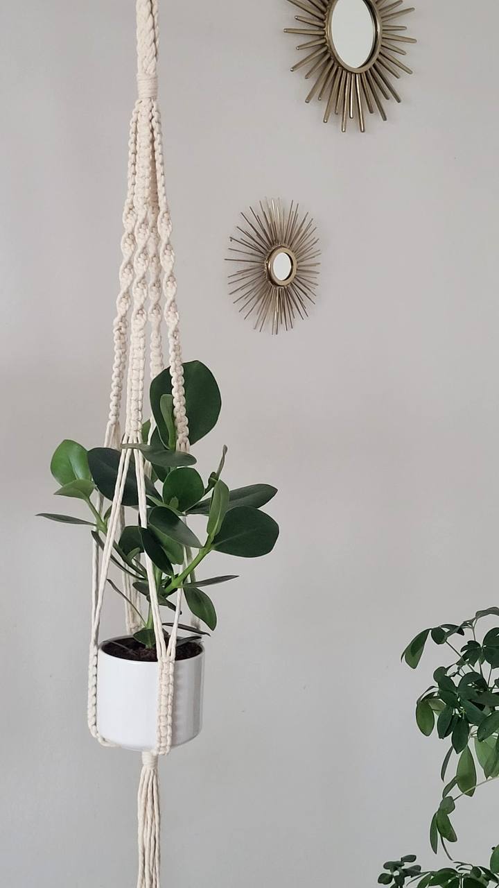 Classic Ivory Ornament